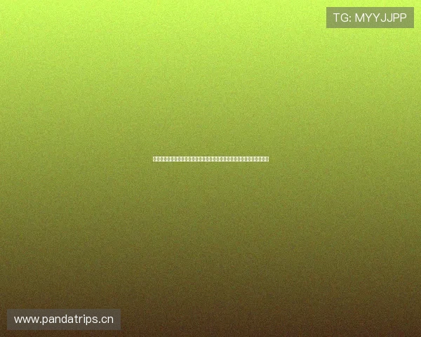 以抖音记录美好生活点滴瞬间的创意分享之旅与温暖故事同行发现平凡精彩