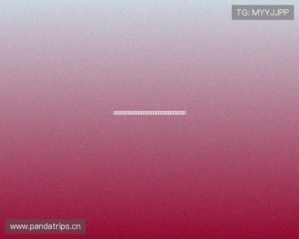 乐视体育直播网全方位解析热门赛事直播平台精彩内容与观看指南